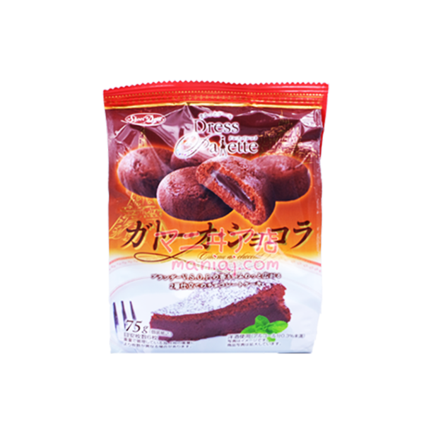 Dress Palette Chocolate Cake