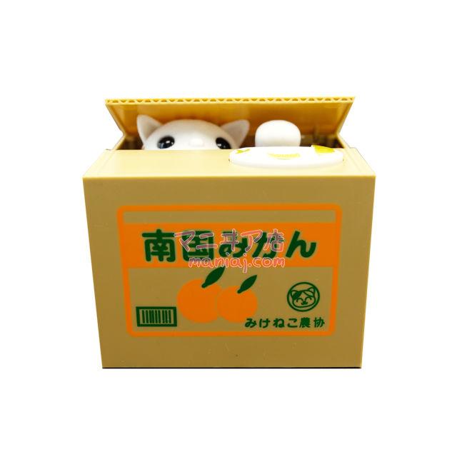 ワイルドキャット キャッシュ ボックス (予約注文)