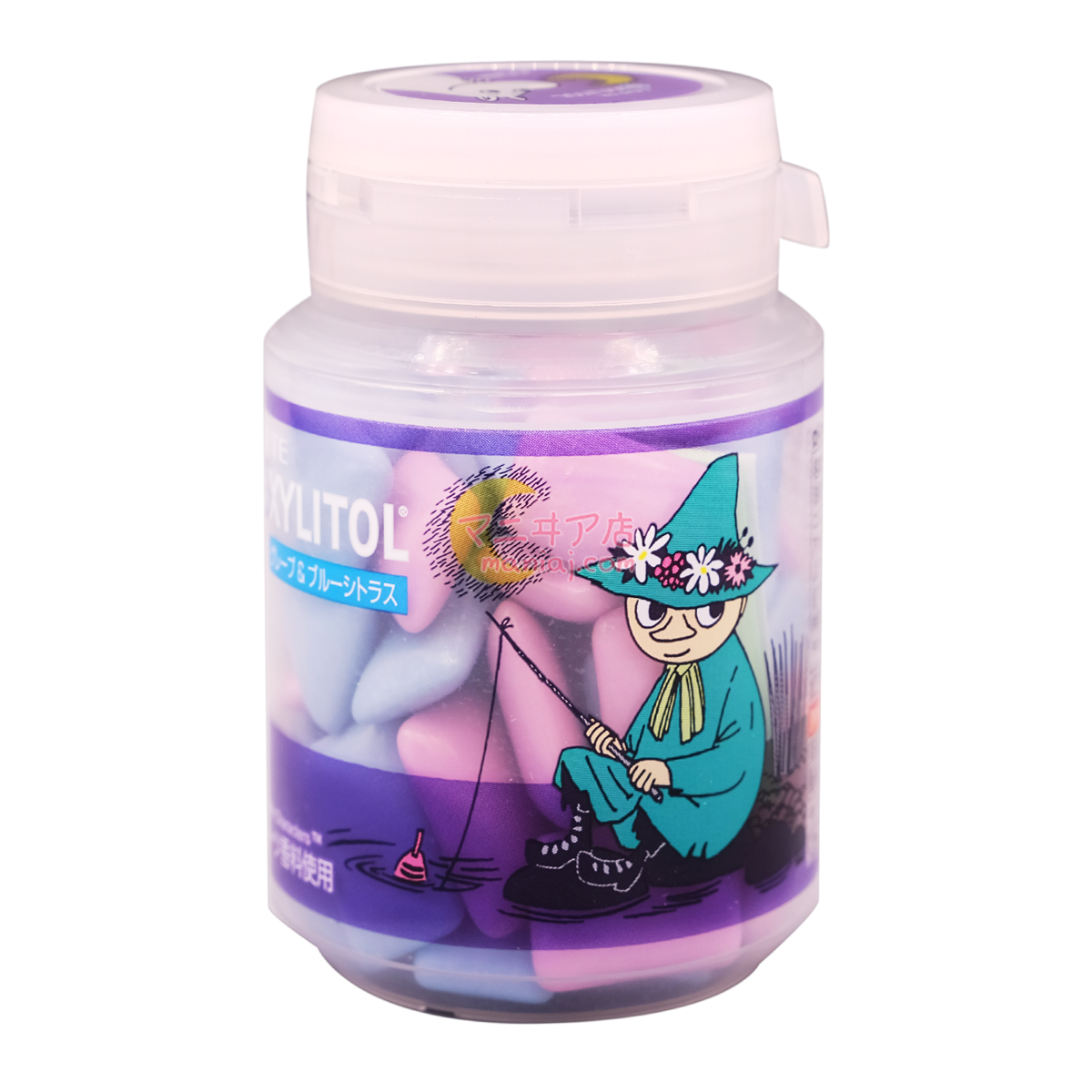 Moomin Raisin Citrus Flavor Bottled Chewing Gum