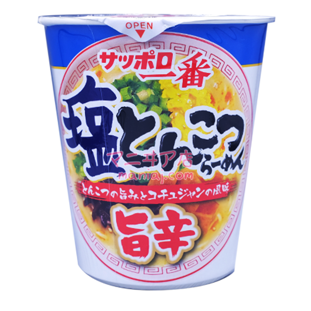 Salt Tonkotsu Spicy Ramen