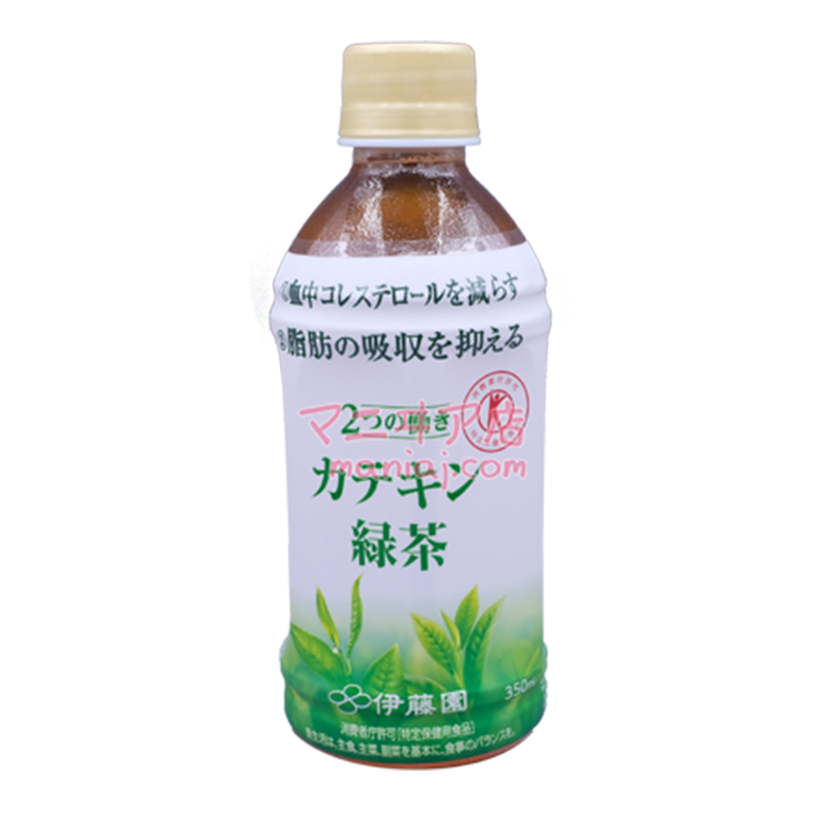 Catechin Green Tea
