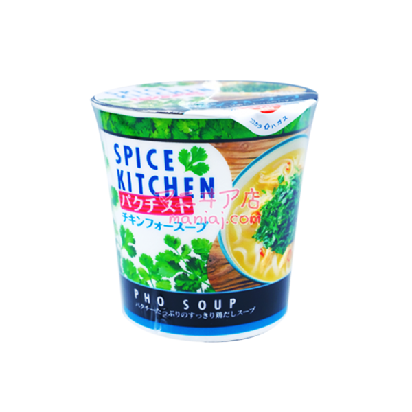 Spice Kitchen芫茜雞湯河粉