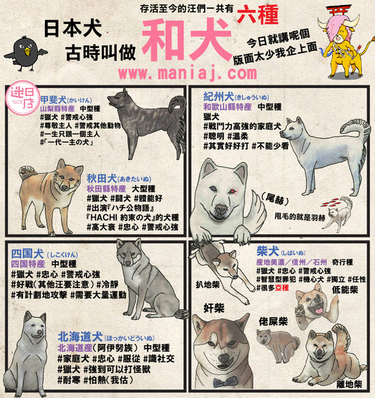 【迷日漫畫 – 和犬🐶】