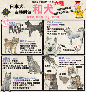 【迷日漫畫 – 和犬🐶】