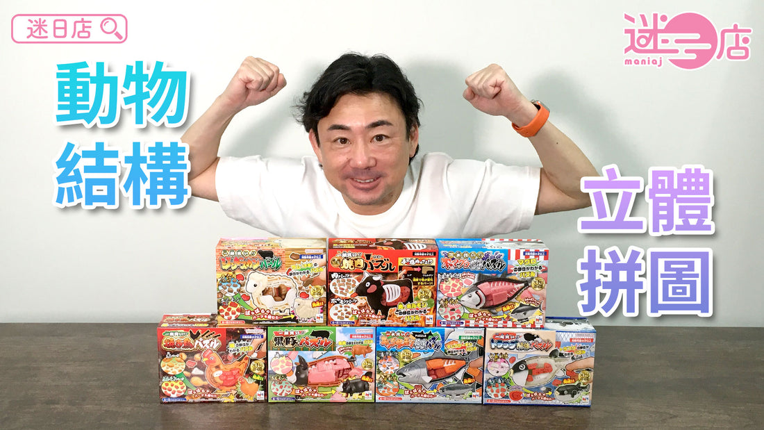 【本週店主推介🙋‍♂️動物結構立體拼圖系列🧩️】