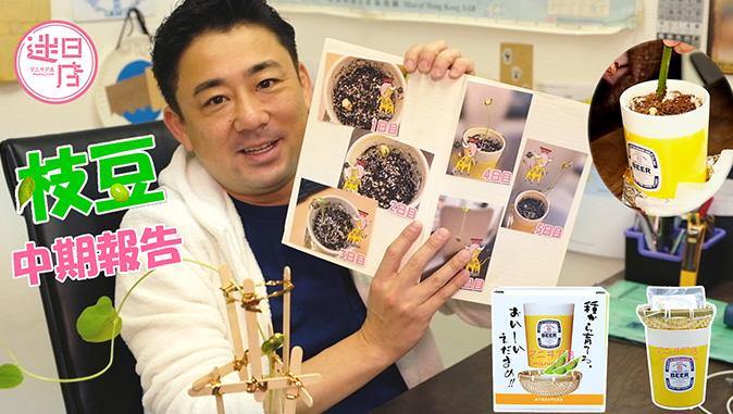 【枝豆栽培報告🌱】 - 迷日店 maniaj.com