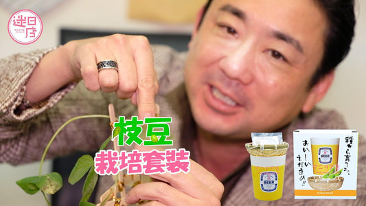 【迷日店推介預購系列 - 枝豆栽培套裝🌱】 - 迷日店 maniaj.com