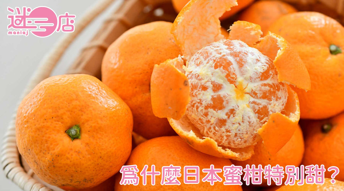 為什麼日本蜜柑特別甜？全面揭秘日本蜜柑品種、產地及產季