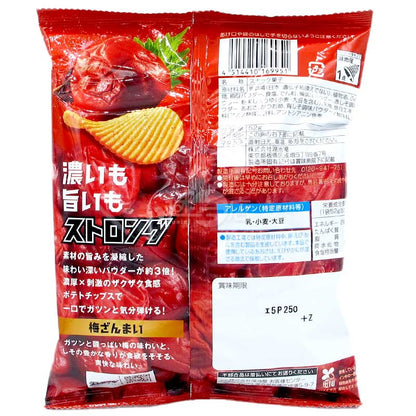STRONG 調味3倍 濃厚×刺激 強勁酸味梅味薯片