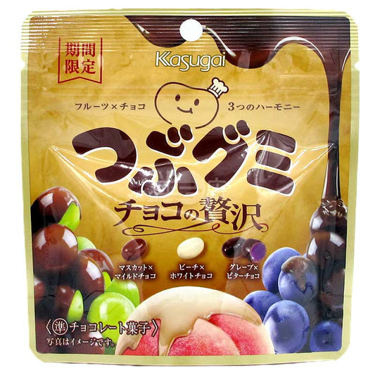 粒粒軟糖 朱古力之奢華 3種朱古力x水果味