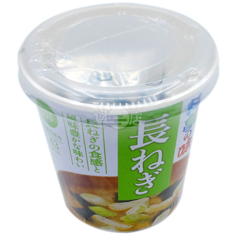 Miso Soup with Long Onion